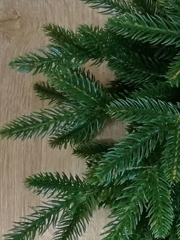 Венок Ева