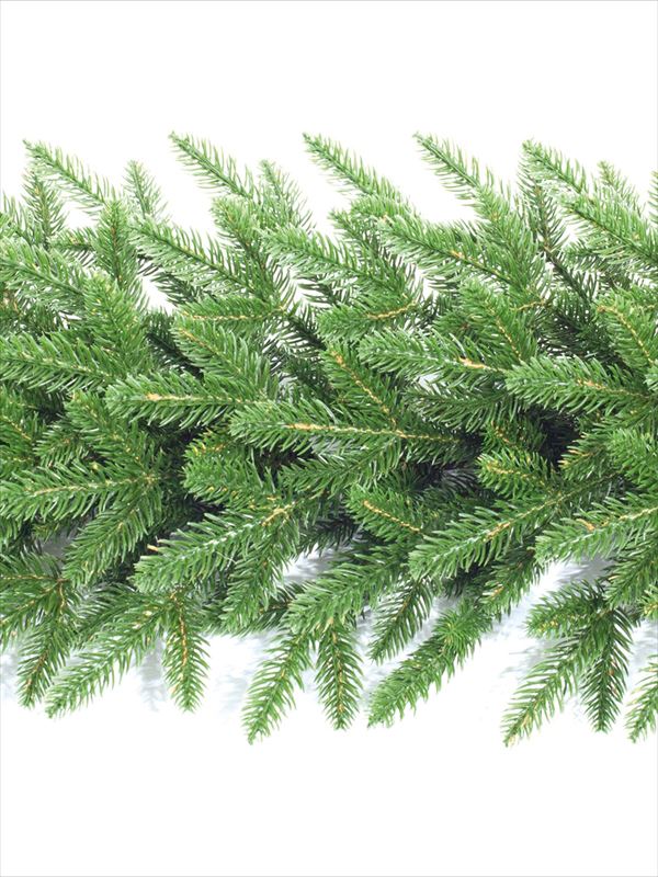 Ветка Ева